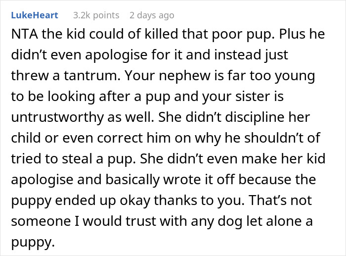 Woman Changes Her Mind About Giving A Puppy To Nephew When He Tries To Steal It, Asks If It&rsquo;s Wrong