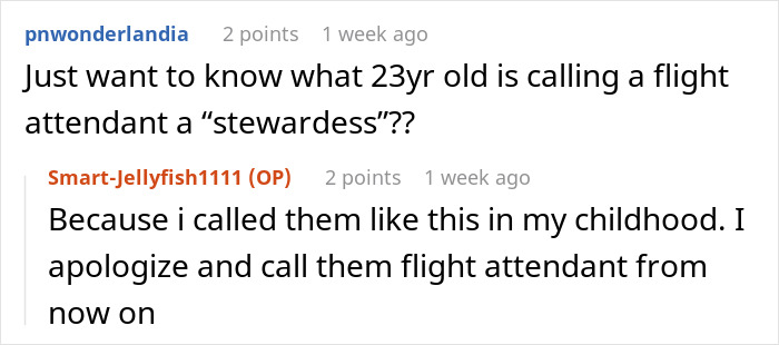 Plane Passenger Finds Her Seat Occupied By Mom With A Kid After Coming Back From The Bathroom