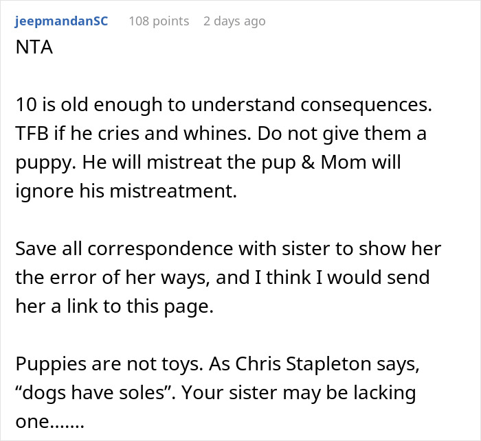 Woman Changes Her Mind About Giving A Puppy To Nephew When He Tries To Steal It, Asks If It&rsquo;s Wrong