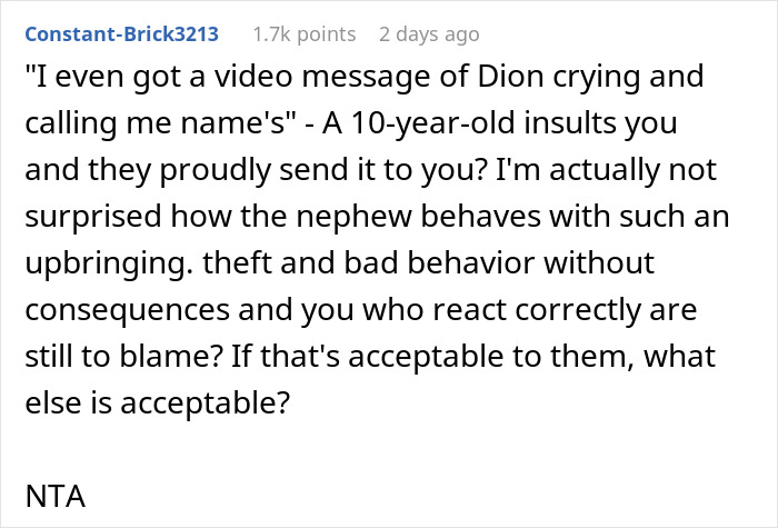 Woman Changes Her Mind About Giving A Puppy To Nephew When He Tries To Steal It, Asks If It&rsquo;s Wrong