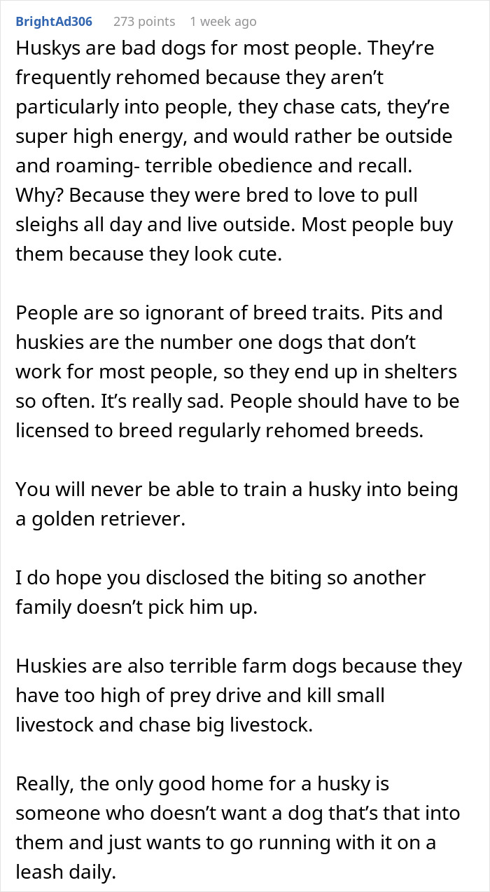 “I Dropped My MIL’s Dog Off As A Stray At A Shelter, And I Don’t Feel Bad” “I Dropped My MIL’s Dog Off As A Stray At A Shelter, And I Don’t Feel Bad”
