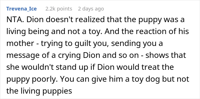 Woman Changes Her Mind About Giving A Puppy To Nephew When He Tries To Steal It, Asks If It&rsquo;s Wrong