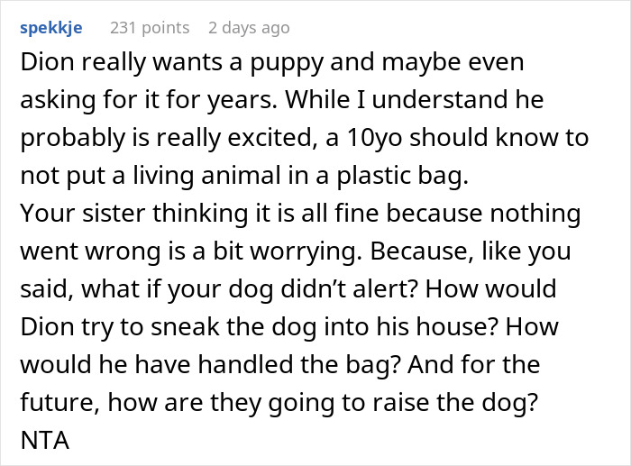 Woman Changes Her Mind About Giving A Puppy To Nephew When He Tries To Steal It, Asks If It&rsquo;s Wrong