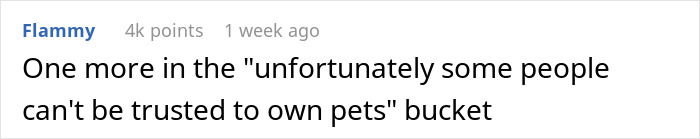 “I Dropped My MIL’s Dog Off As A Stray At A Shelter, And I Don’t Feel Bad” “I Dropped My MIL’s Dog Off As A Stray At A Shelter, And I Don’t Feel Bad”