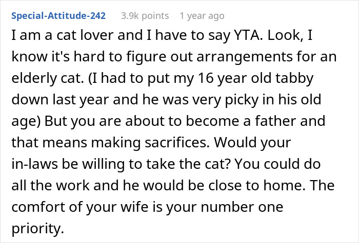 Man Disappoints Wife By Suggesting She Move Out To Avoid Moving His Senior Cat She&rsquo;s Allergic To