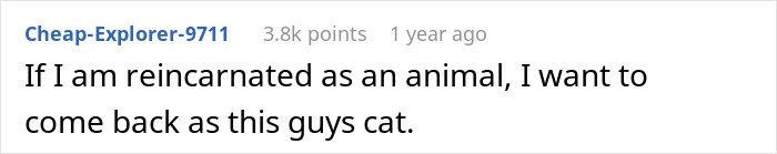 Man Disappoints Wife By Suggesting She Move Out To Avoid Moving His Senior Cat She&rsquo;s Allergic To