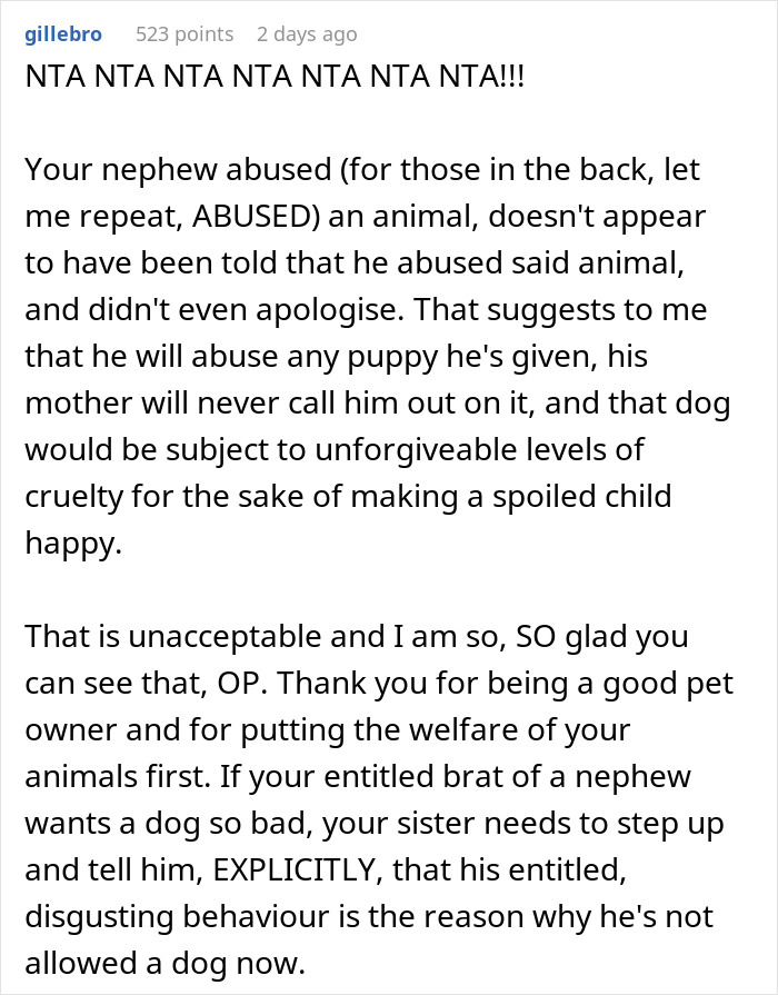 Woman Changes Her Mind About Giving A Puppy To Nephew When He Tries To Steal It, Asks If It&rsquo;s Wrong