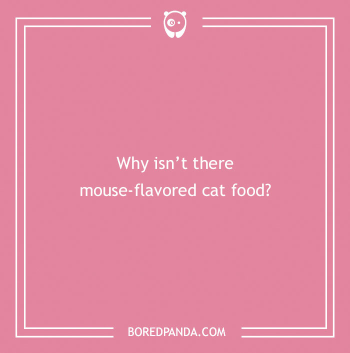 Confusing question on a pink background asking why mouse-flavored cat food does not exist, brain teaser concept.