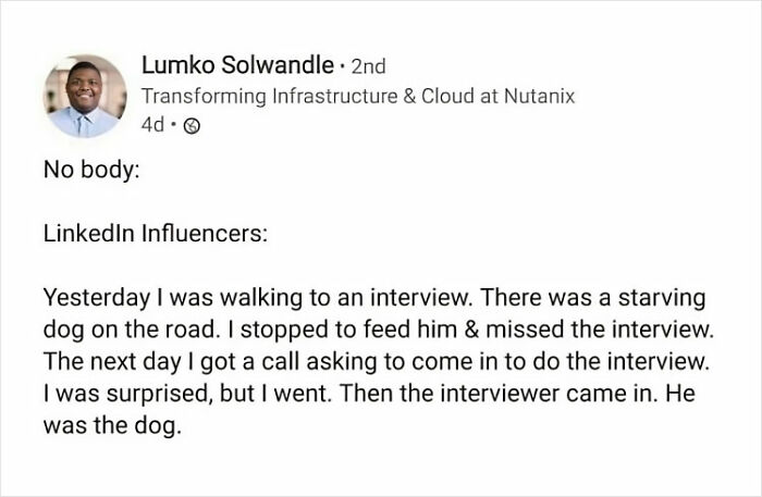 LinkedIn post about a funny interview story highlighting consulting comedy with a twist ending involving a dog.