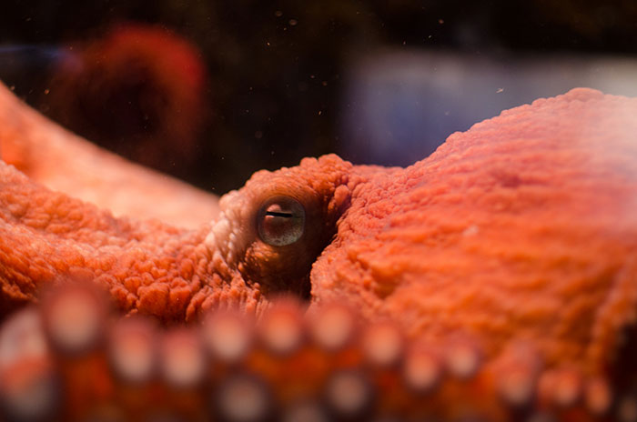 Someone Asked Folks To Share The Best Fact They’ve Ever Heard, Here Are The 35 Most Interesting