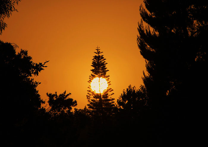 Someone Asked Folks To Share The Best Fact They’ve Ever Heard, Here Are The 35 Most Interesting