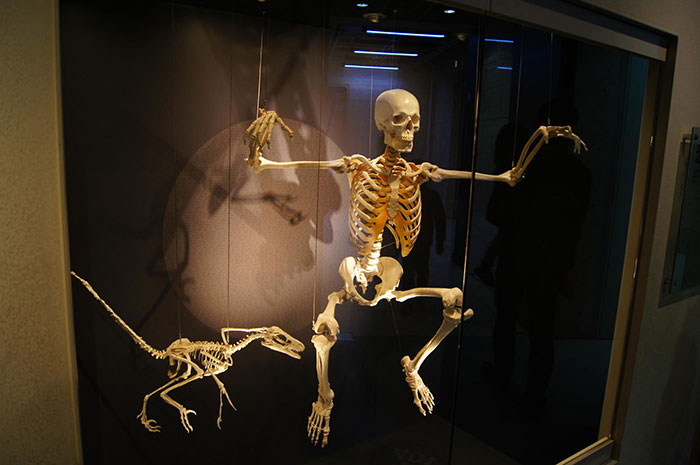 Someone Asked Folks To Share The Best Fact They’ve Ever Heard, Here Are The 35 Most Interesting