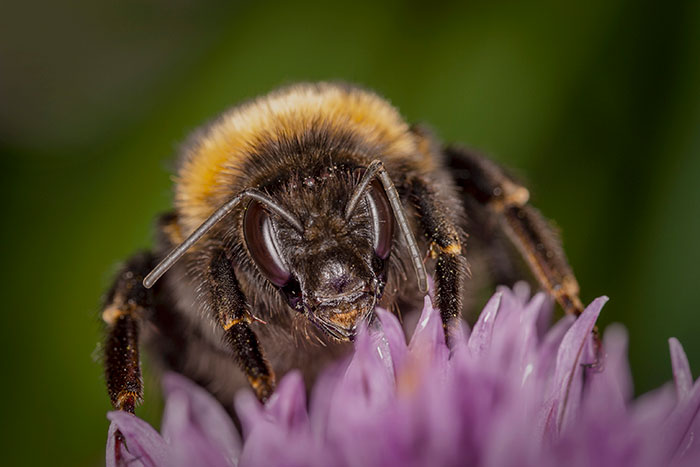 Someone Asked Folks To Share The Best Fact They’ve Ever Heard, Here Are The 35 Most Interesting