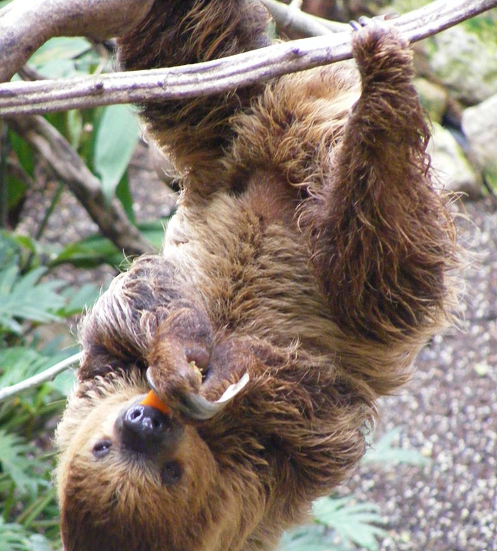 Someone Asked Folks To Share The Best Fact They’ve Ever Heard, Here Are The 35 Most Interesting