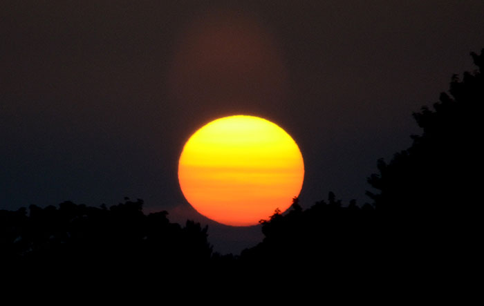 Someone Asked Folks To Share The Best Fact They’ve Ever Heard, Here Are The 35 Most Interesting