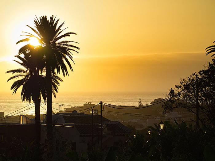 Someone Asked Folks To Share The Best Fact They’ve Ever Heard, Here Are The 35 Most Interesting