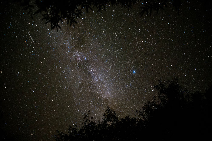 Someone Asked Folks To Share The Best Fact They’ve Ever Heard, Here Are The 35 Most Interesting