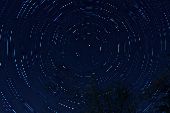 Someone Asked Folks To Share The Best Fact They’ve Ever Heard, Here Are The 35 Most Interesting