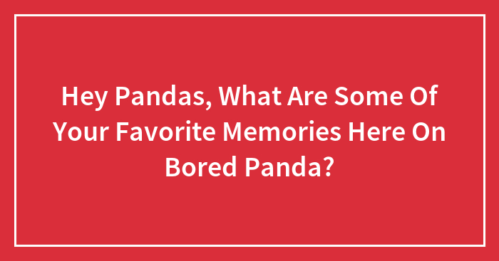 Hey Pandas, What Are Some Of Your Favorite Memories Here On Bored Panda? (Closed)