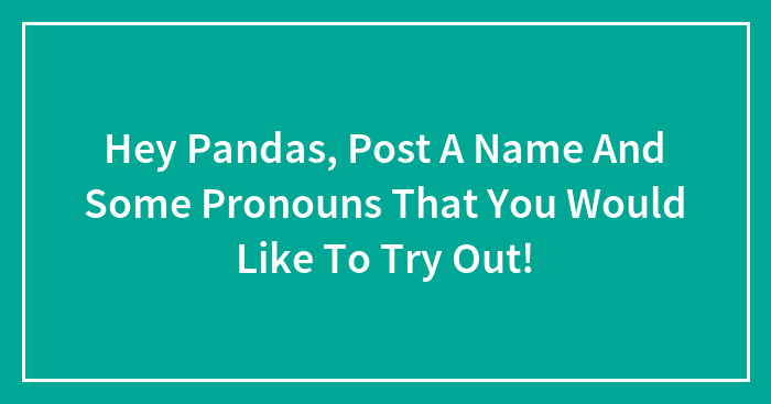 Hey Pandas, Post A Name And Some Pronouns That You Would Like To Try Out!