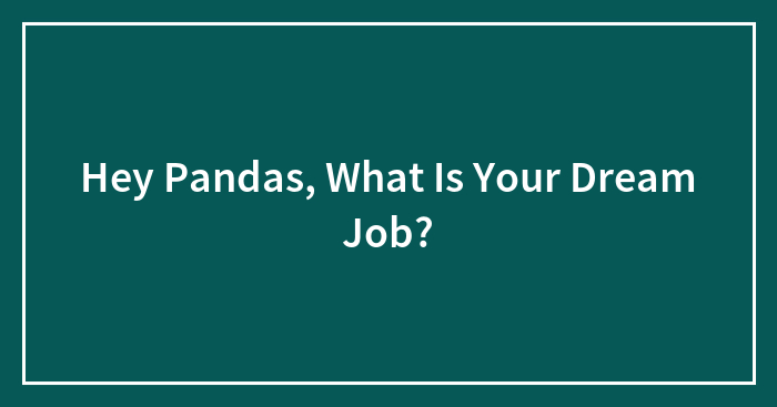 Hey Pandas, What Is Your Dream Job?