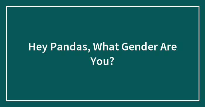 Hey Pandas, What Gender Are You?