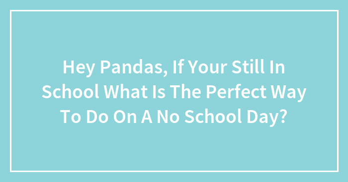 Hey Pandas, If Your Still In School What Is The Perfect Way To Do On A No School Day?