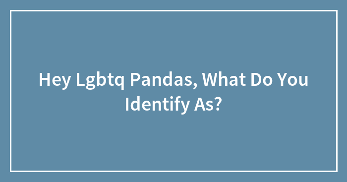 Hey Lgbtq Pandas, What Do You Identify As?