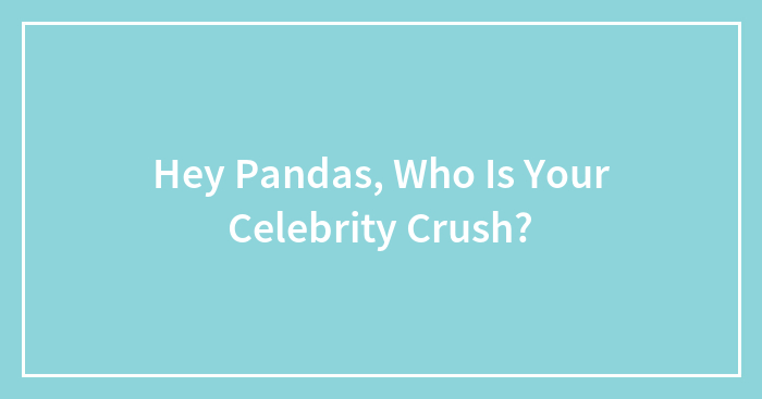 Hey Pandas, Who Is Your Celebrity Crush?