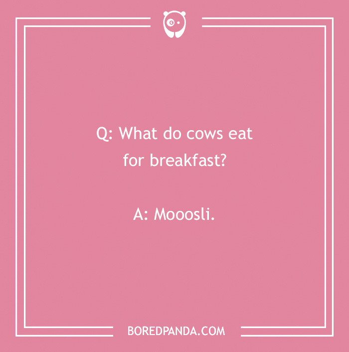 123 Udderly A-moo-sing Cow Jokes