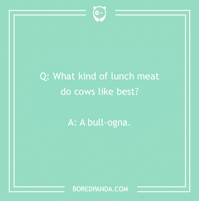 123 Udderly A-moo-sing Cow Jokes