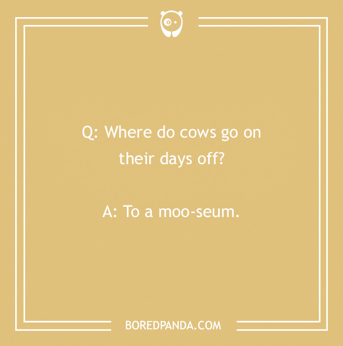 123 Udderly A-moo-sing Cow Jokes