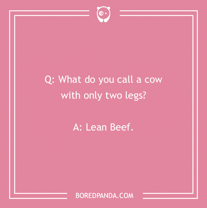 123 Udderly A-moo-sing Cow Jokes