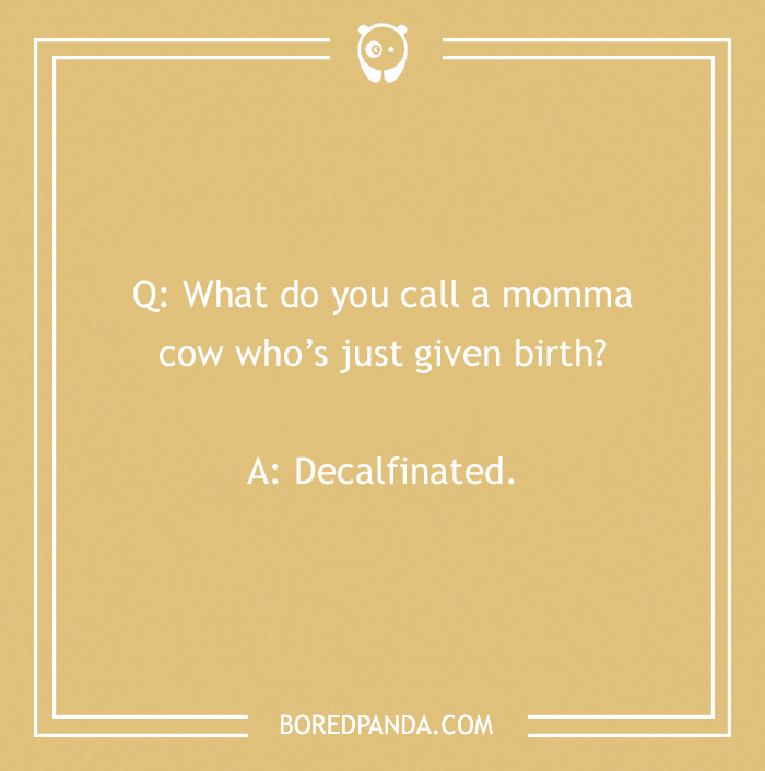 123 Udderly A-moo-sing Cow Jokes