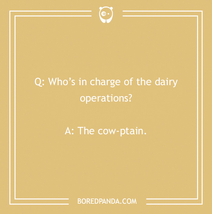 123 Udderly A-moo-sing Cow Jokes