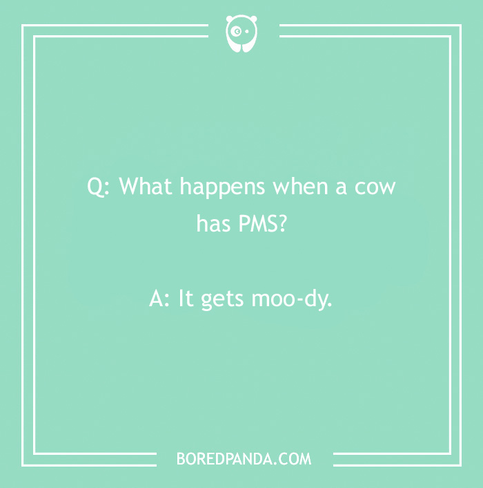 123 Udderly A-moo-sing Cow Jokes