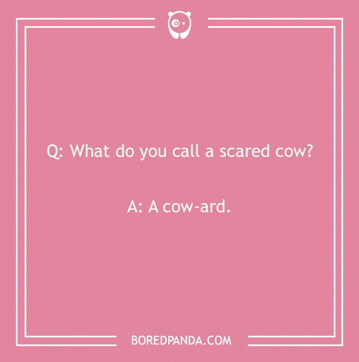 123 Udderly A-moo-sing Cow Jokes