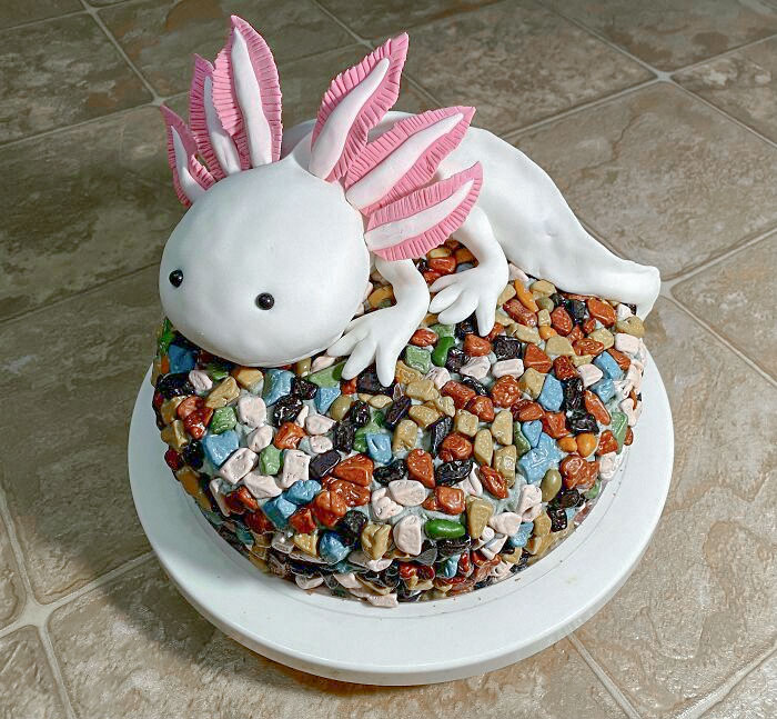 My Wife Made An Axolotl Cake For Our Son’s Birthday. Very Proud Of Her