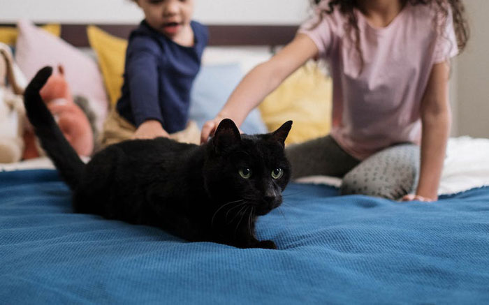 Woman Refuses To Let Homeless Parents Occupy Her Pet Room, Wonders If She's Being Cruel Woman Refuses To Let Homeless Parents Occupy Her Pet Room, Wonders If She's Being Cruel