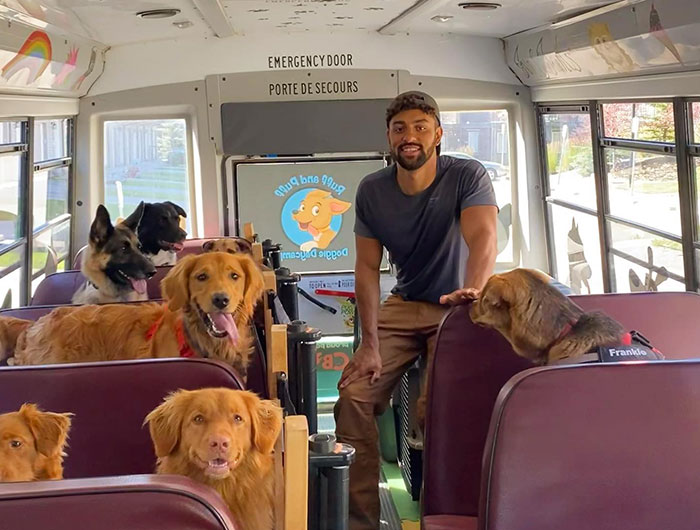 Guy Converts A School Bus To Take Dogs On Daily Adventures