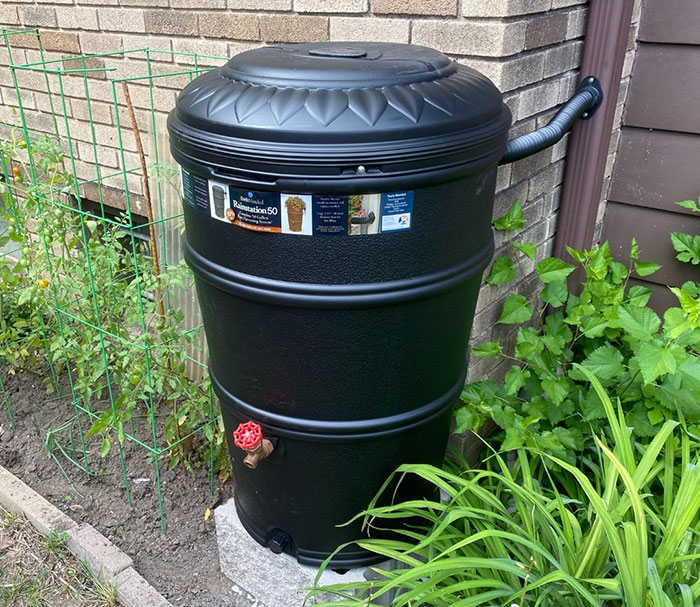 Black rain barrel in the backyard 