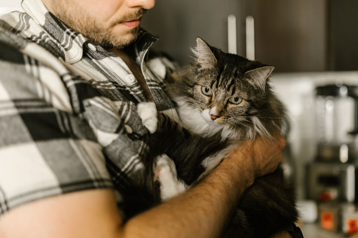 Man holding a tabby cat in a kitchen, illustrating cats' special gift to sense when you're sick.