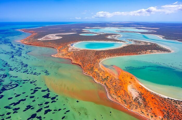 Honorable Mention: Shark Bay World Heritage Marine Park By Tom Putt