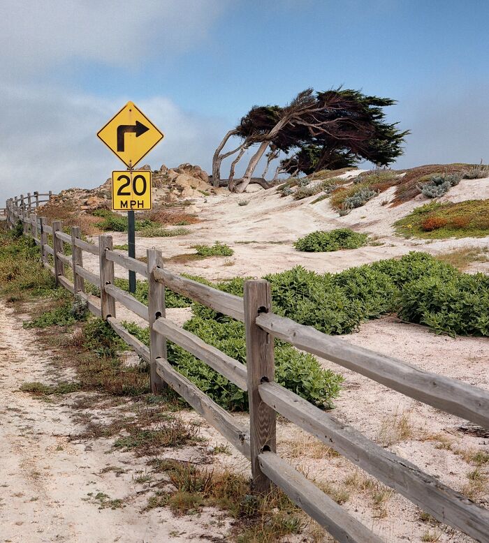 Special / Travel / Wanderlust, 3rd Place: American Roads By Felix Botella