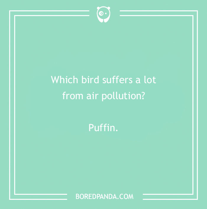 Earth Day joke about a bird suffering from air pollution, answered with "Puffin."