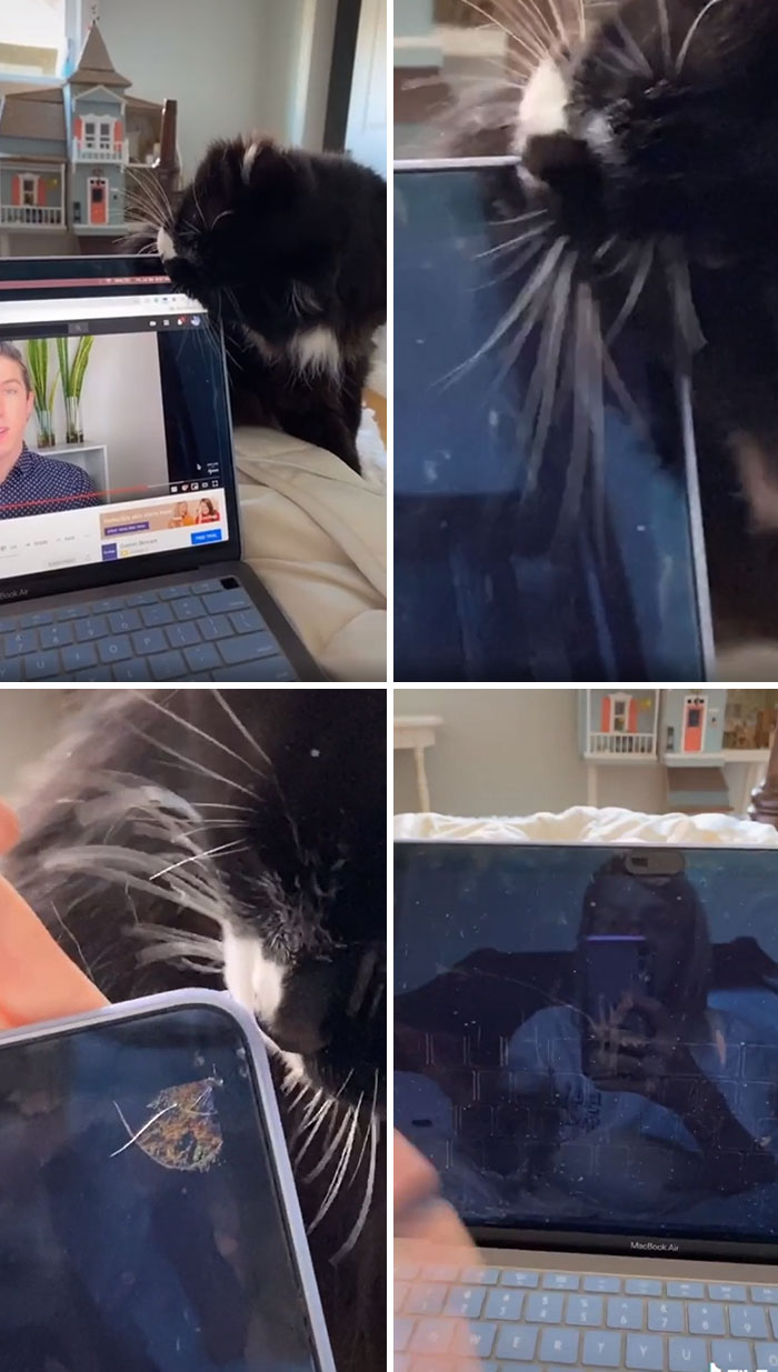 You Should Have Stopped Him!!!