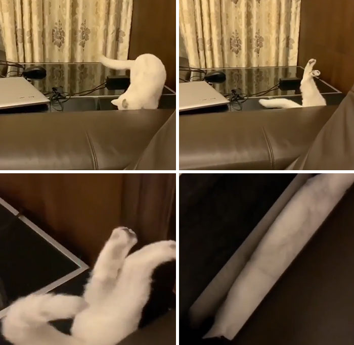 Possibly The Best Feet You'll See All Day