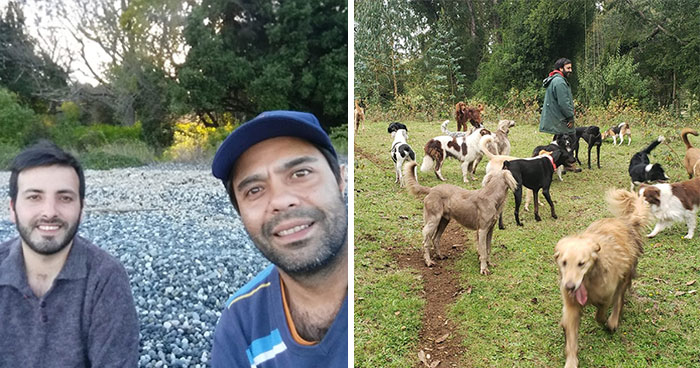A Couple And Their 31 Four-Legged Family Members Found A Home After Their Video Asking For Help Went Viral