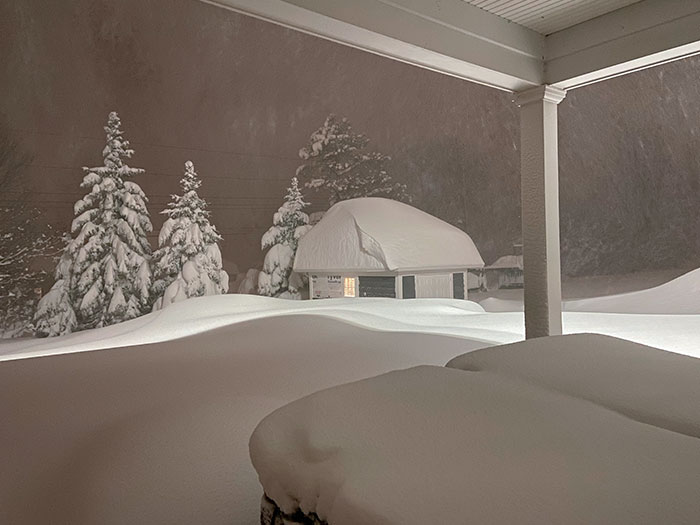 My Mom In Orchard Park, NY, Has Gotten Just A Little Bit Of Snow This Weekend