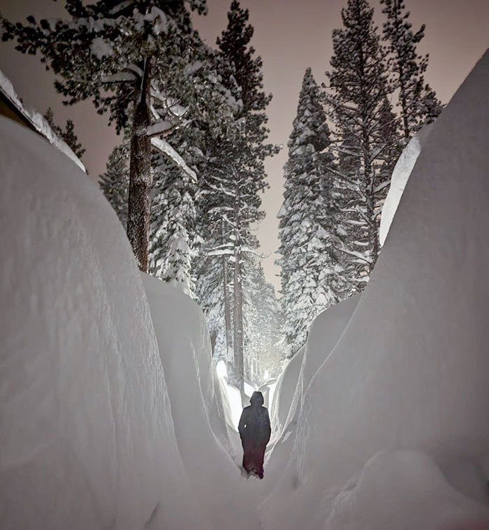 My Walk Home This Evening